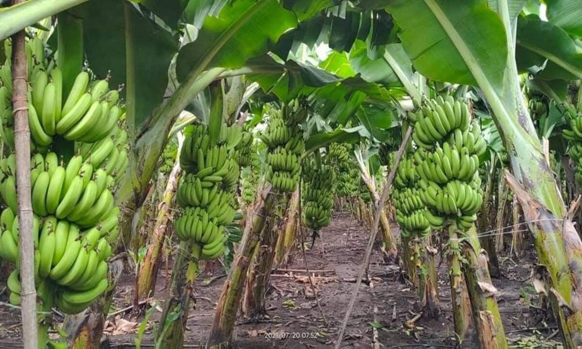 2140dee1a5434bd9e5dbb1b0b1813523 (1)