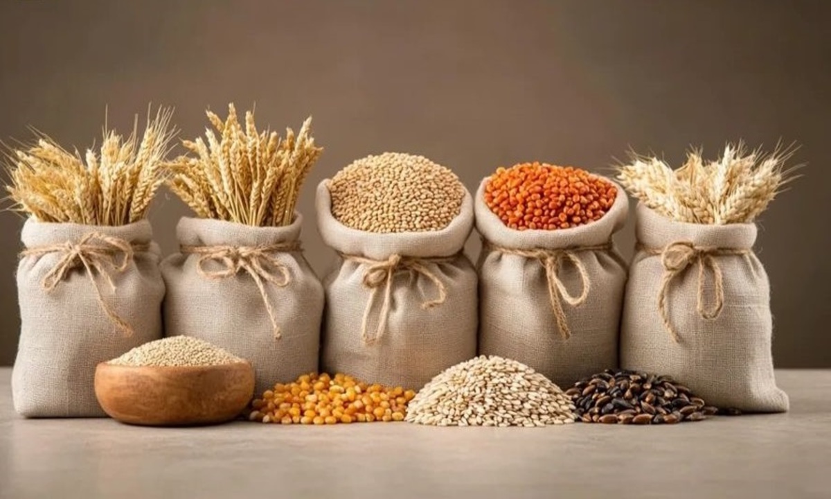 396b946d942fd0806722dae78ee8c8a8 (1)