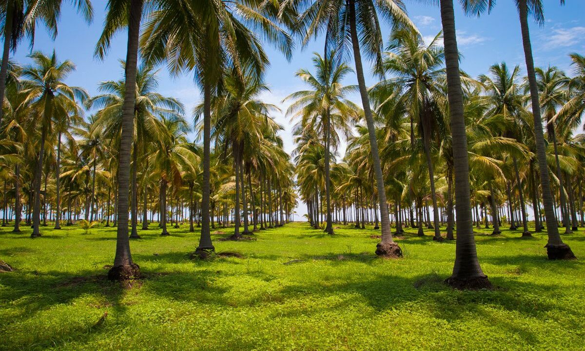 65ed938339878441bc03a87f875a4fe6 (1)