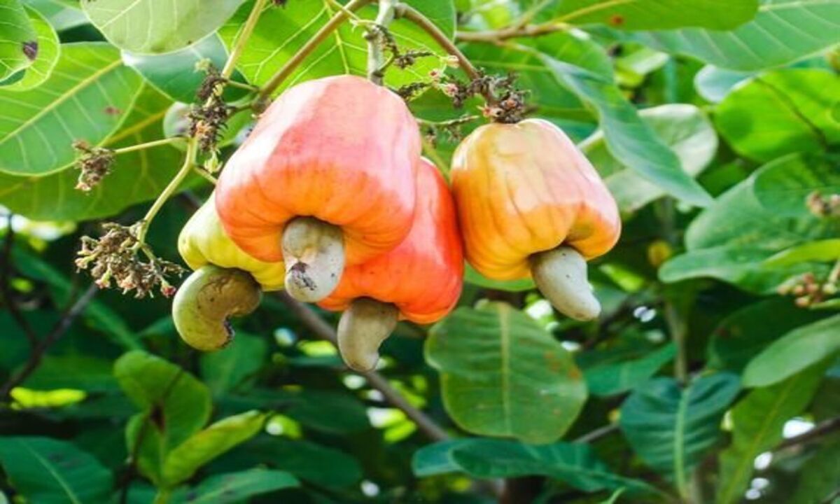 a142cccd719c8e03d6b26629f9dbfd4d (1)