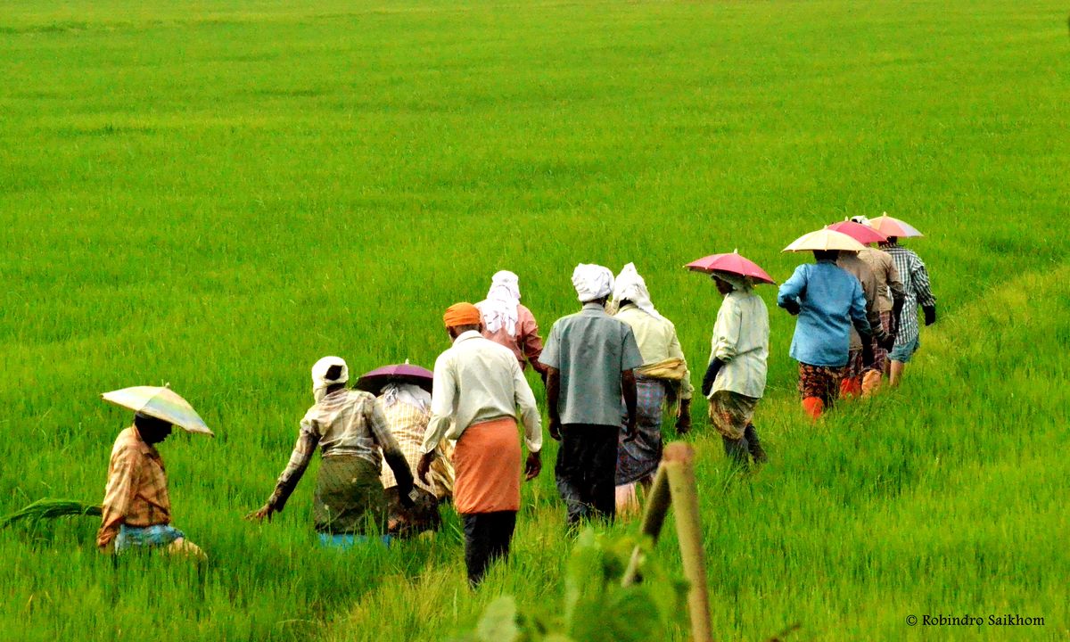 b071f3feb099ac88d665a1fe51ca8087