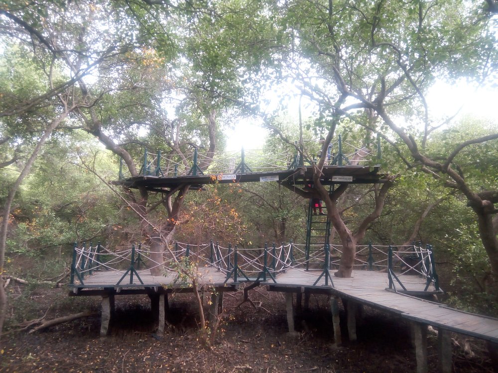 Coringa Wildlife Sanctuary
