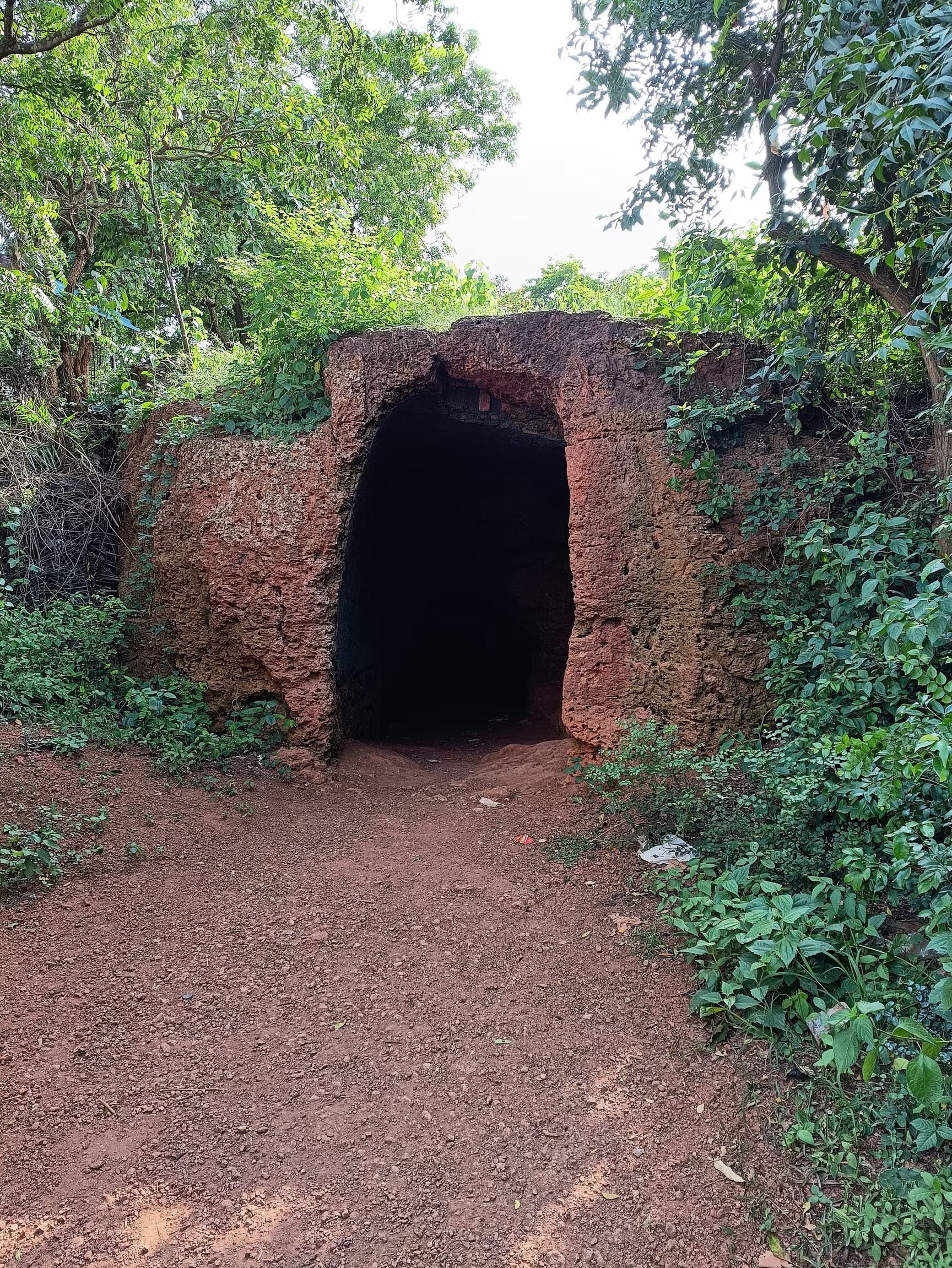 Pandavula Caves